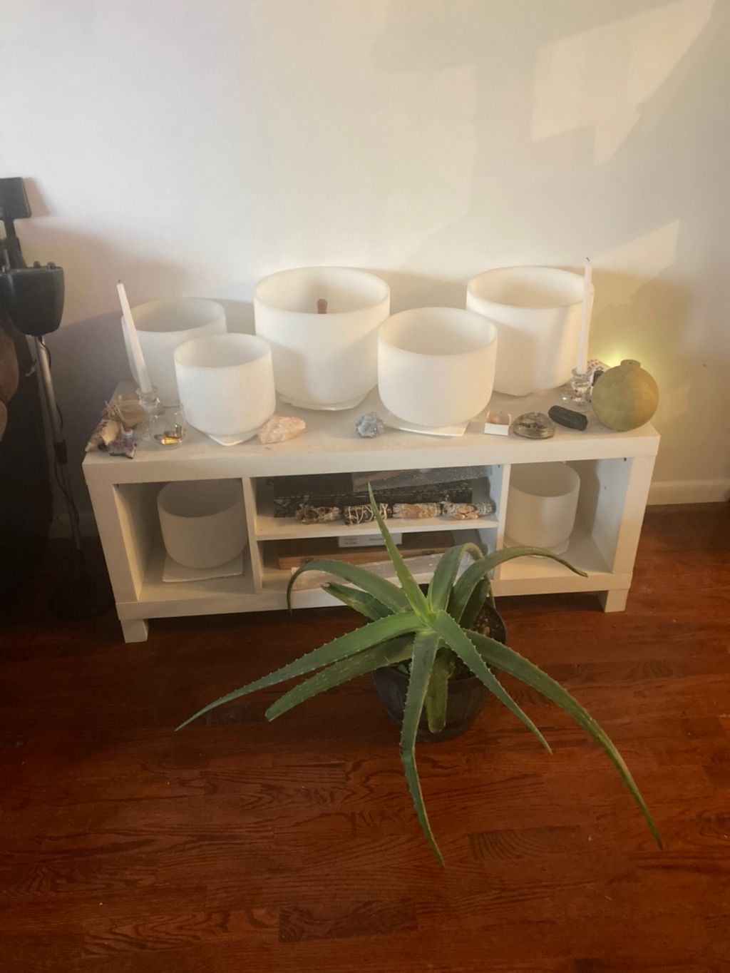 Projects and media