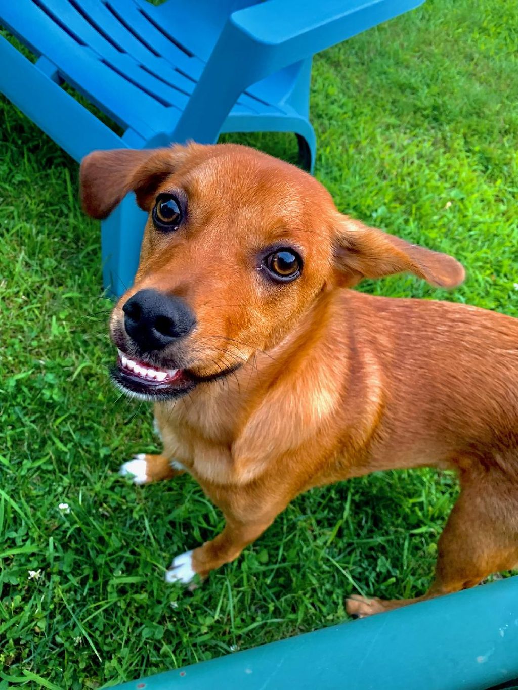 Look at this smile on her
