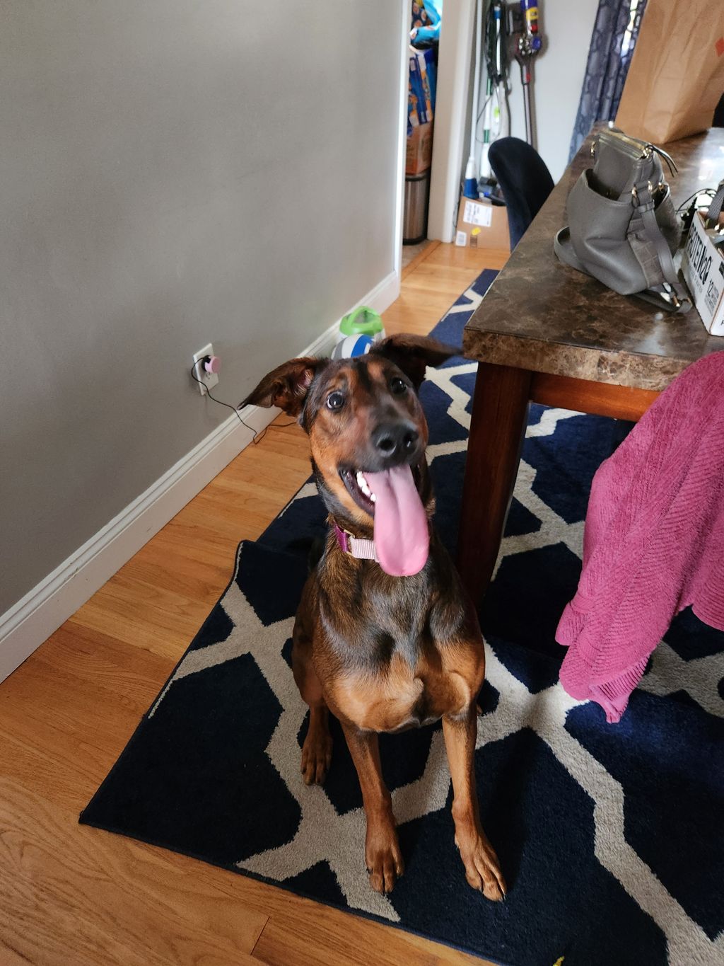Leila is energetic.