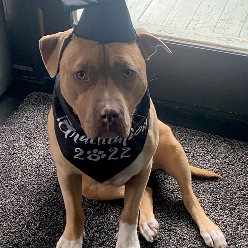 Sweet “Charlie” on his graduation day!! 🥳🎉
