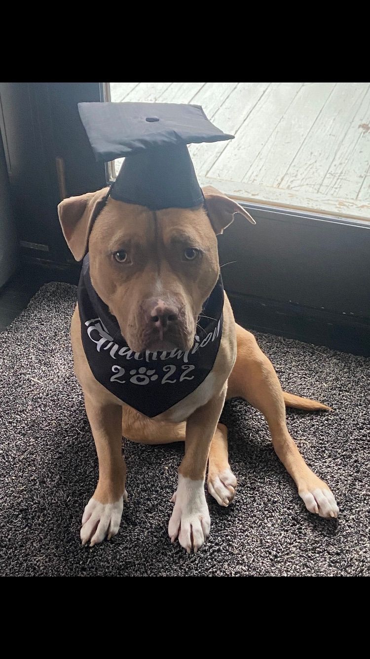 Sweet “Charlie” on his graduation day!! 🥳🎉