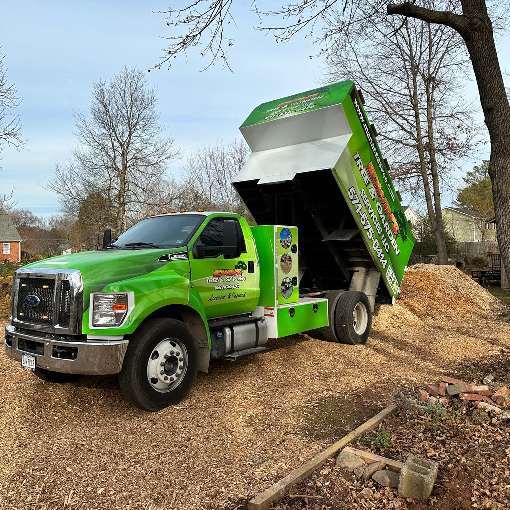 The 10 Best Tree Trimming Services in Washington, DC 2023