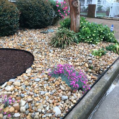 Avatar for The Landscape Company LLC