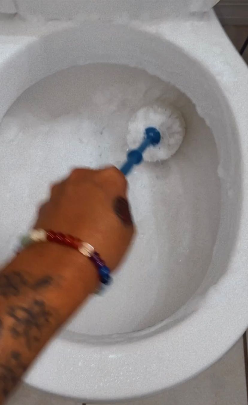 Cleaning the toilet  🥴