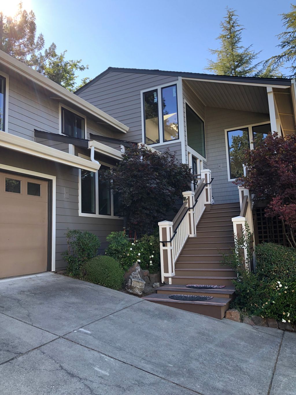 Fiber cement siding & windows