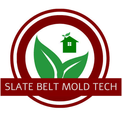 Avatar for Slate Belt Mold Tech