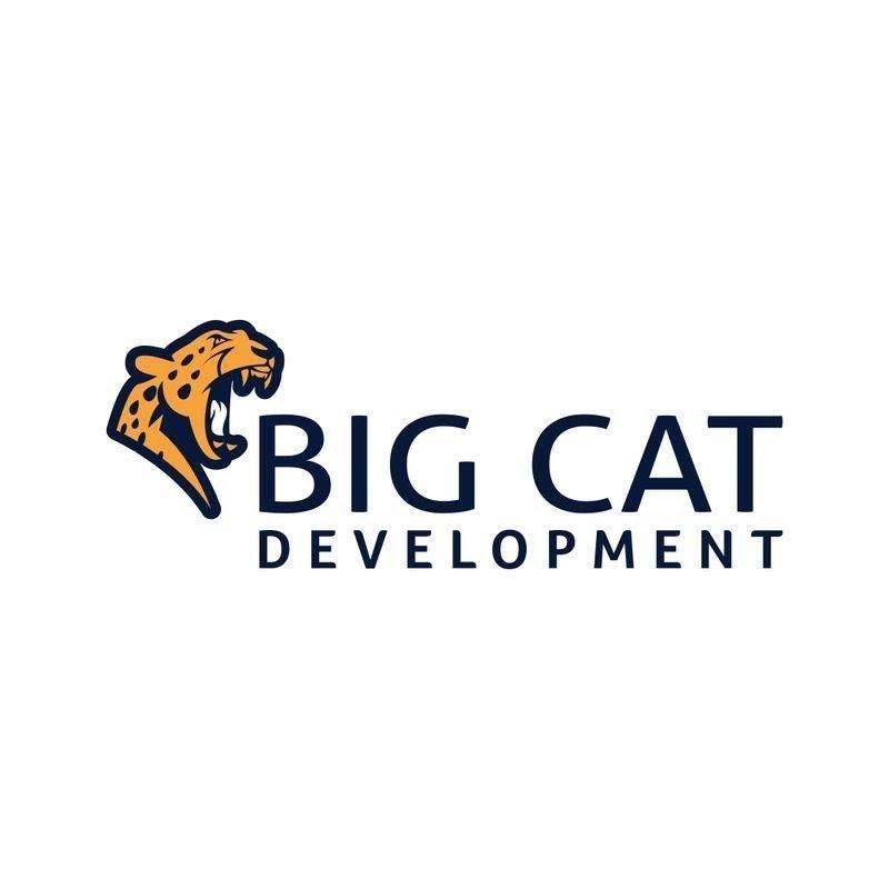 Big Cat Development LLC