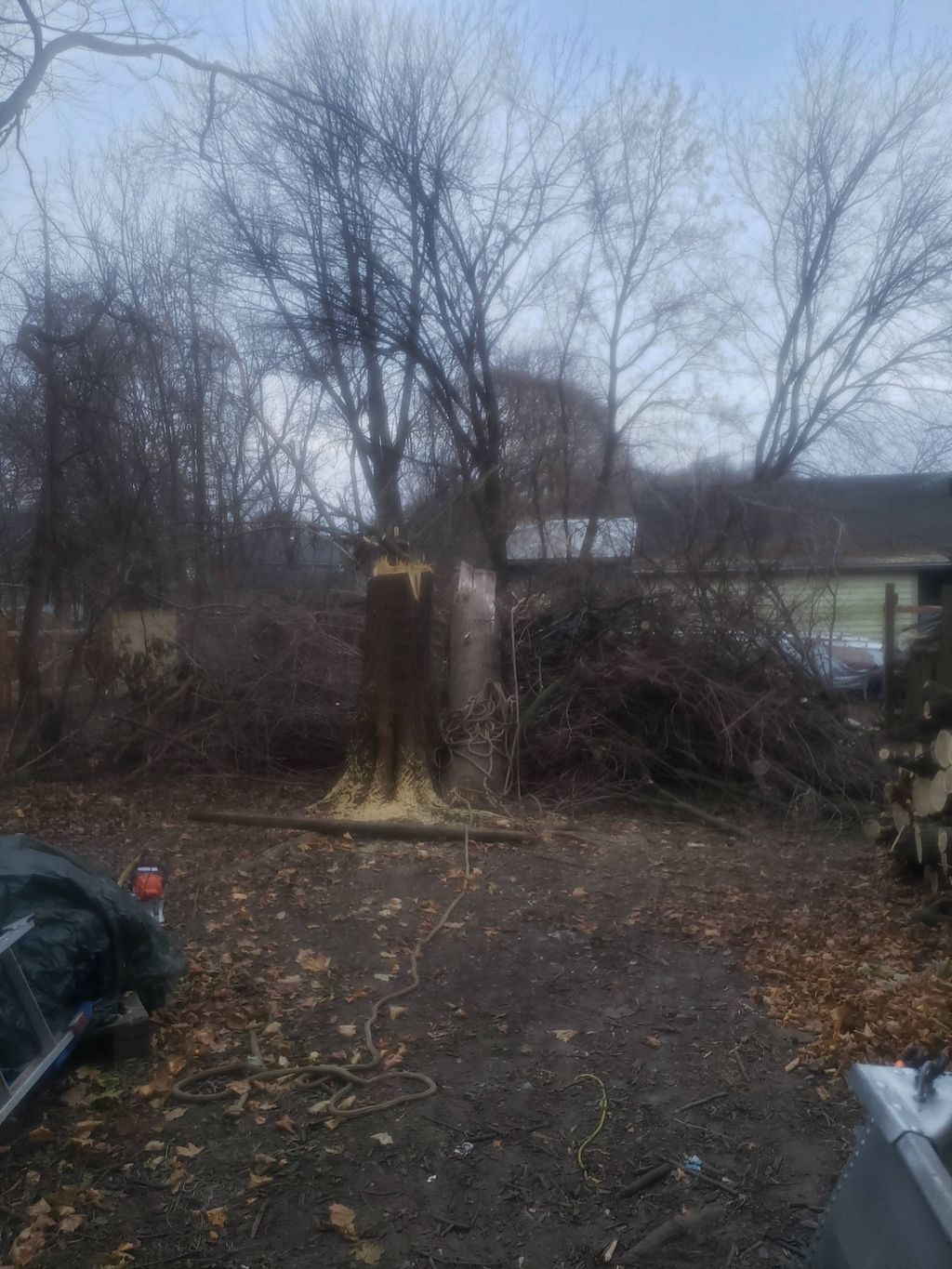 this large, leaning tree required removal of the n
