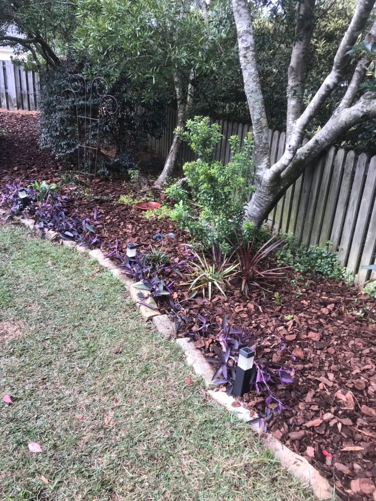 Pine bark mulch. 