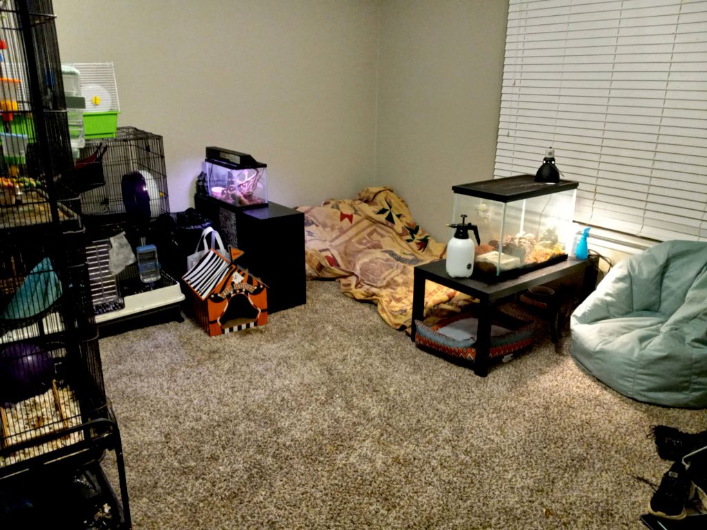 Customer photos