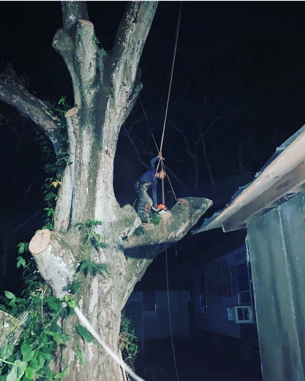 24 Hr Emergency