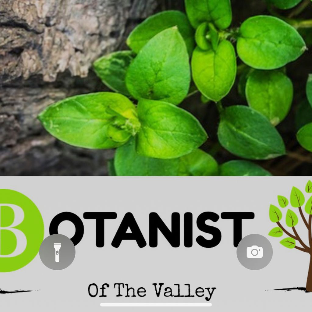 Botanist of the Valley