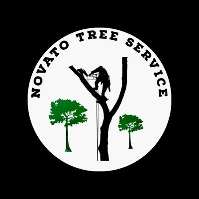 Avatar for Novato tree Service Company