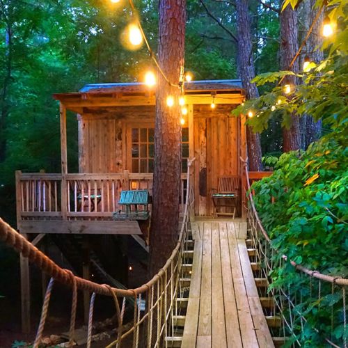 Secluded tree top hideaway 