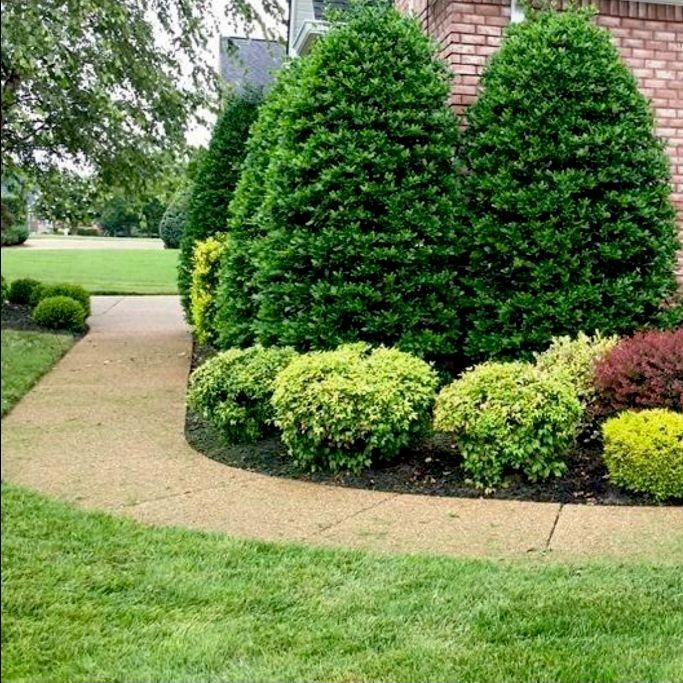 Tennessee Turf Lawncare Services Inc.