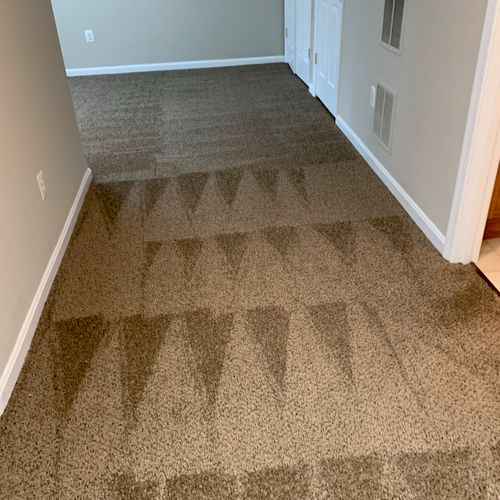 Deep carpet cleaning