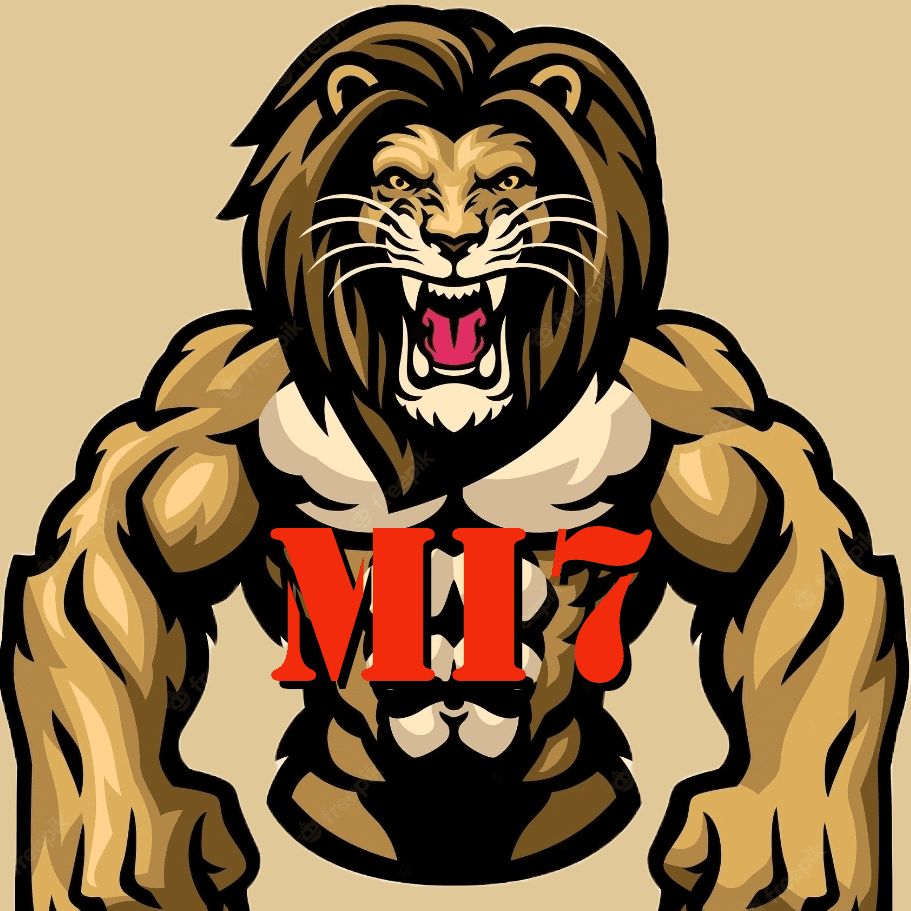 MI7 Security Services