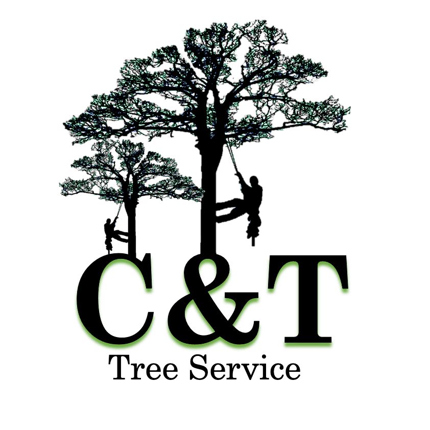 C&T Tree Service