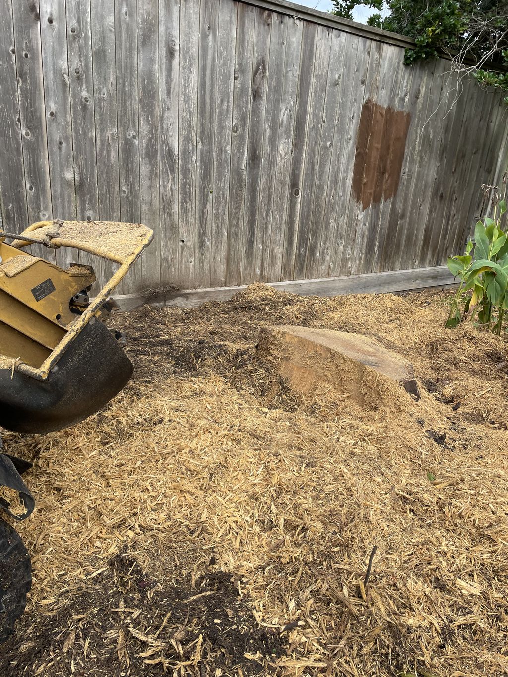 Tree Stump Grinding and Removal