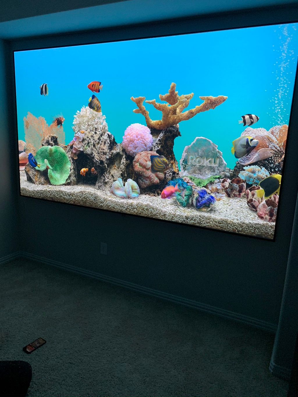 Projects and media