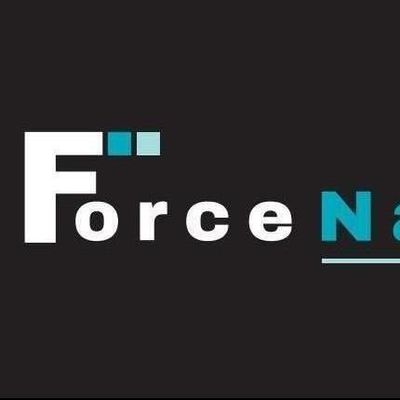 Avatar for ForceNation Staffing Inc
