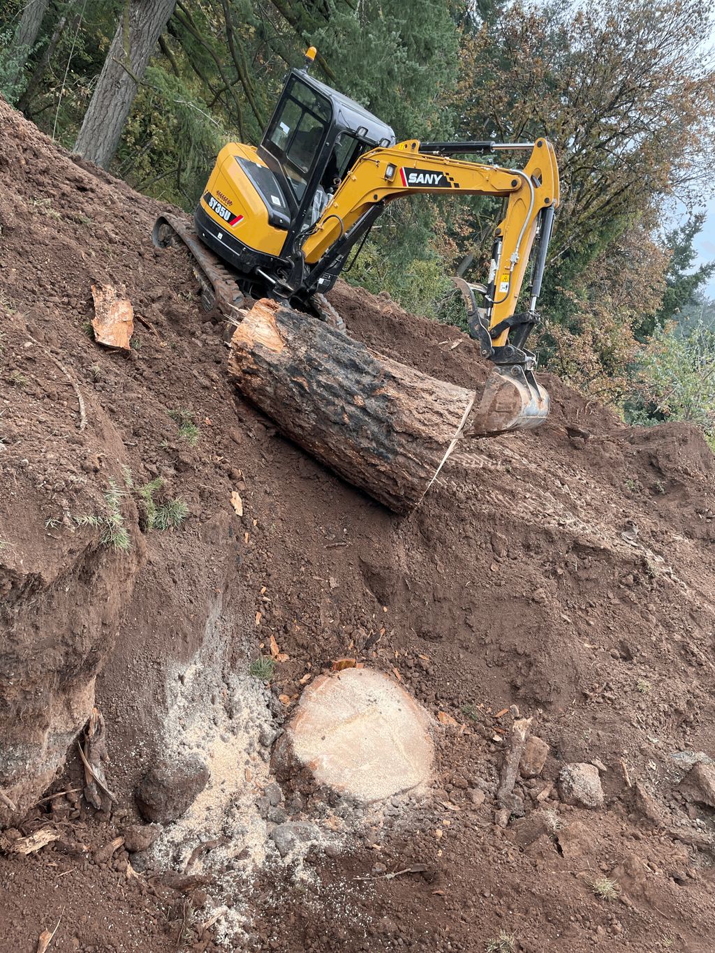 Removing a large stump