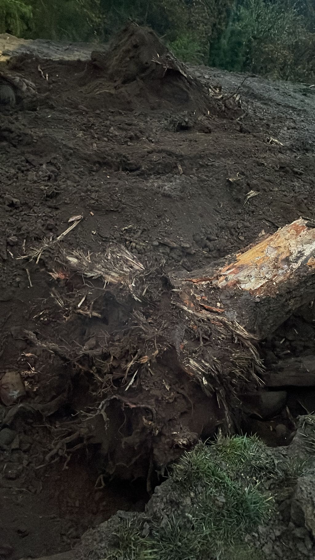 Stump removal. 