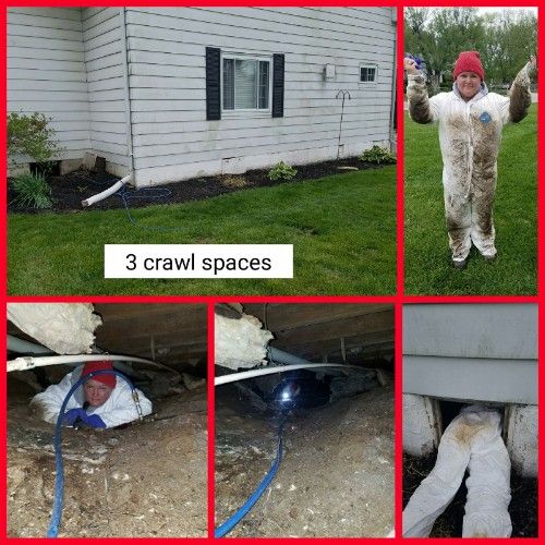 Termite inspection in crawlspace