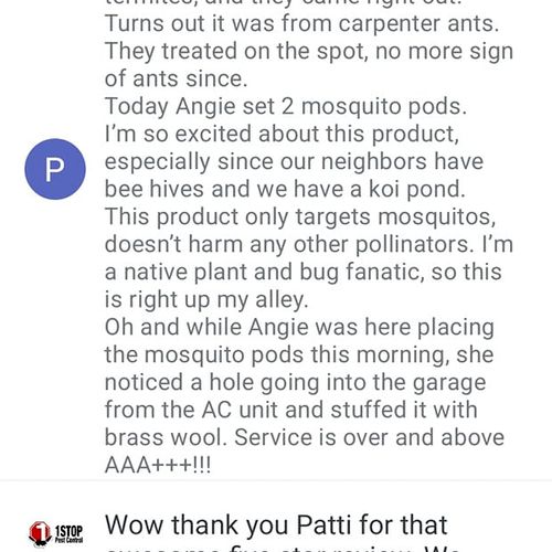 In2Care Mosquito Service Review