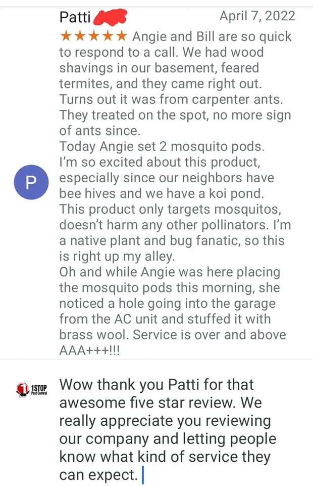 In2Care Mosquito Service Review