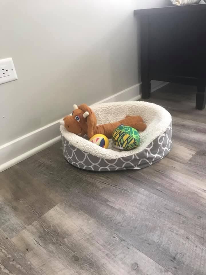 Browny was very happy with our set up 