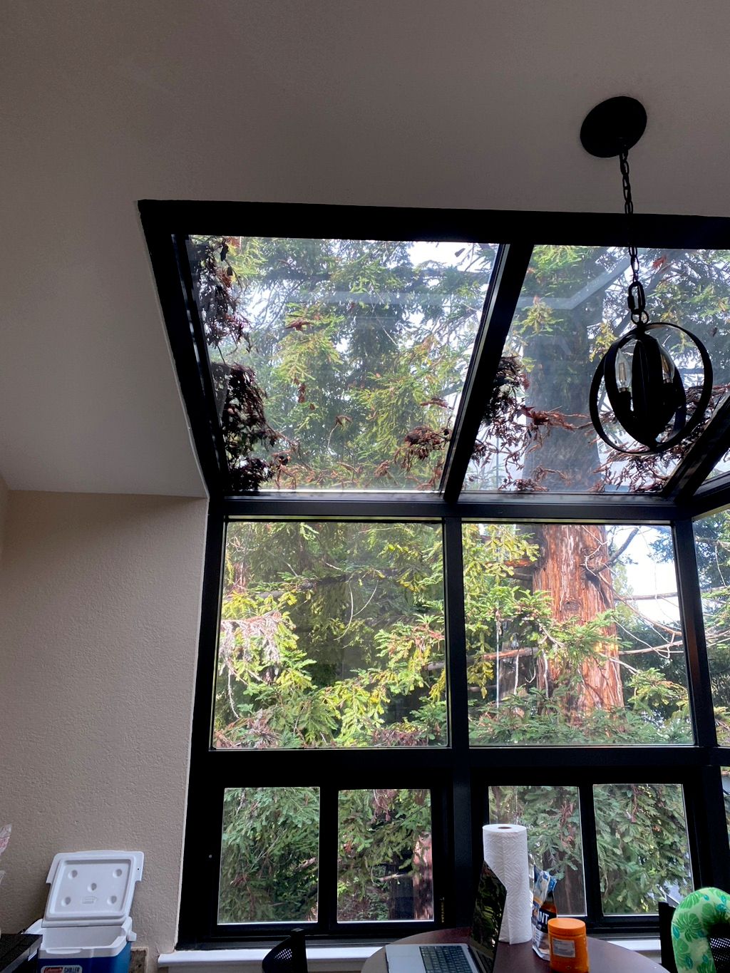 Customer photos