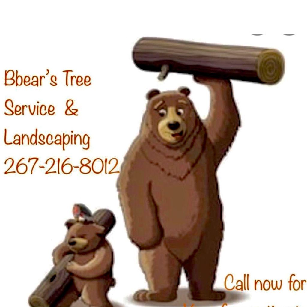 Bbear’s Tree Service & Landscaping LLC