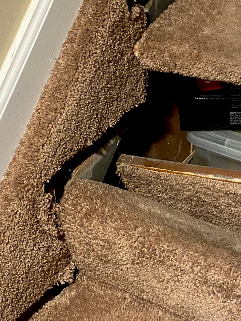 Customer photos