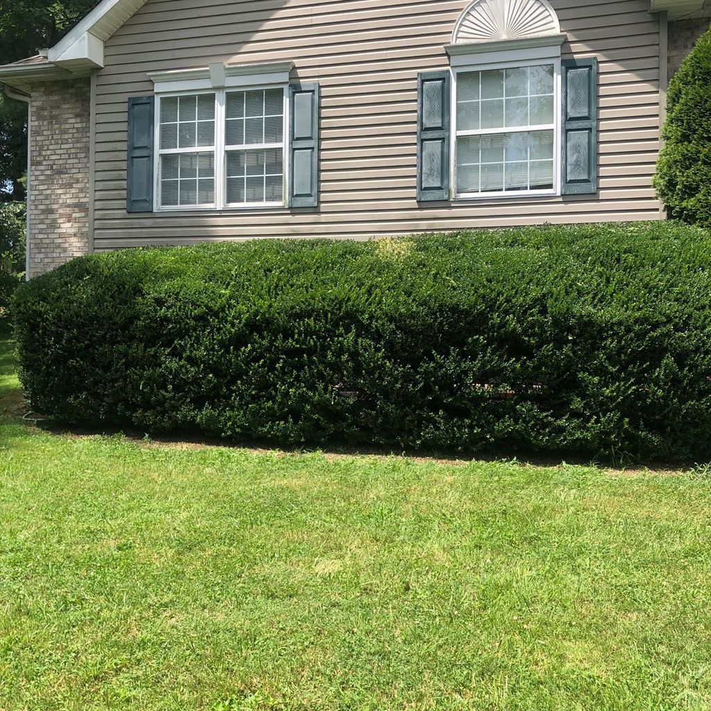 Tyler’s Lawn Maintenance & More