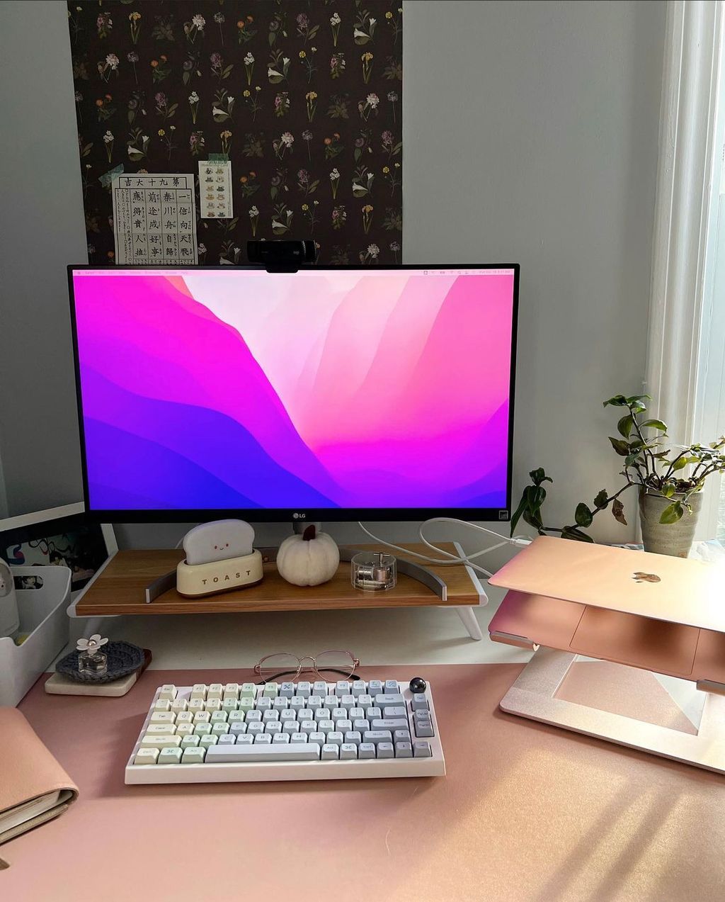 Projects and media