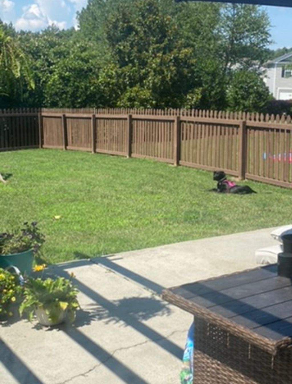 Customer photos