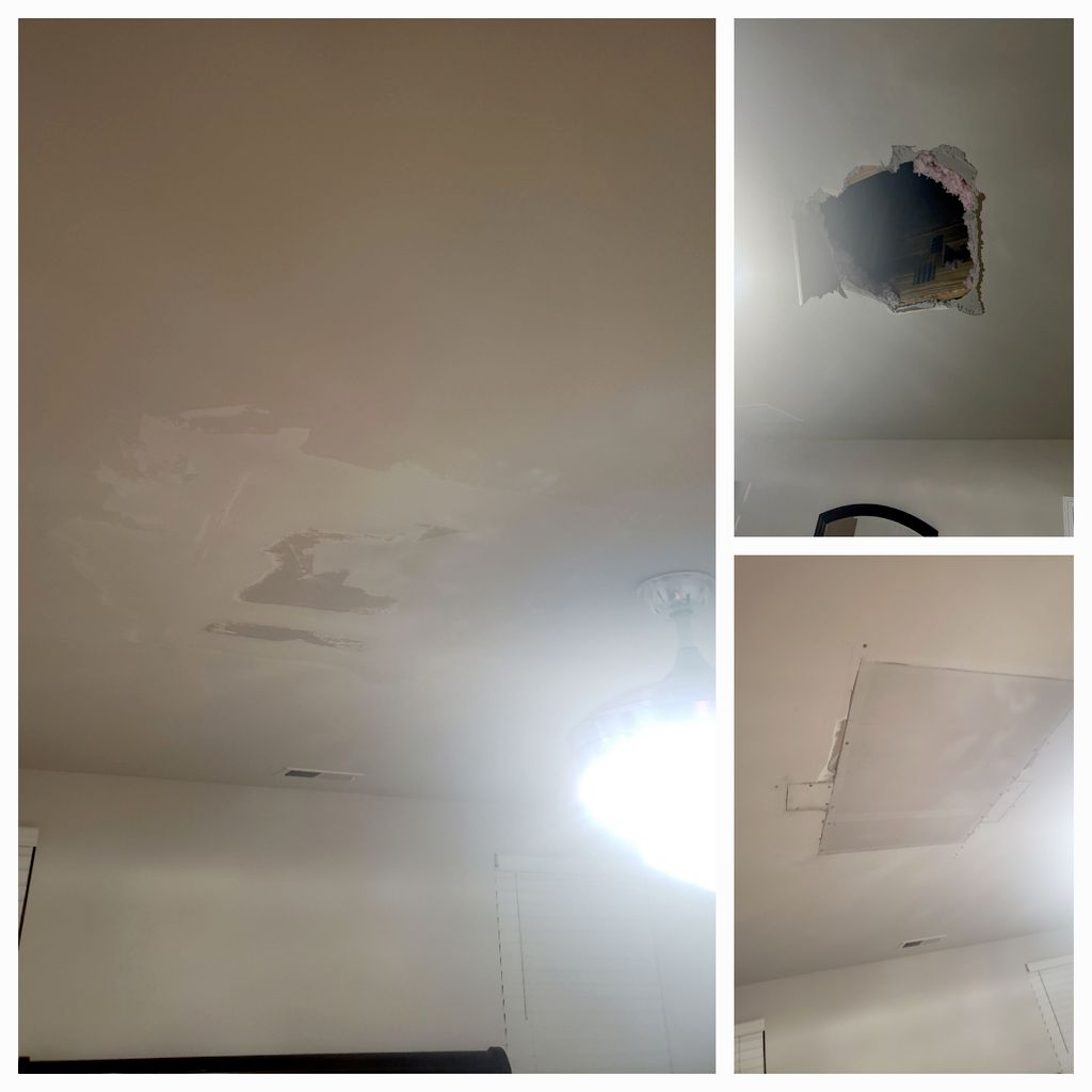 Ceiling repair