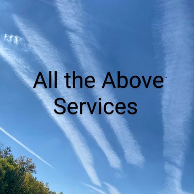 Avatar for All the Above Services