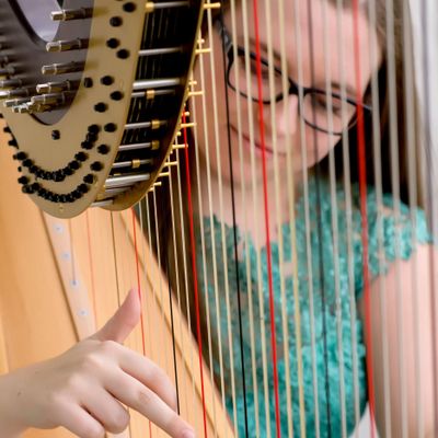 Avatar for Strummed Strings Harp Music
