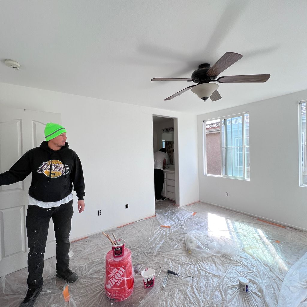 Pro painting inc
