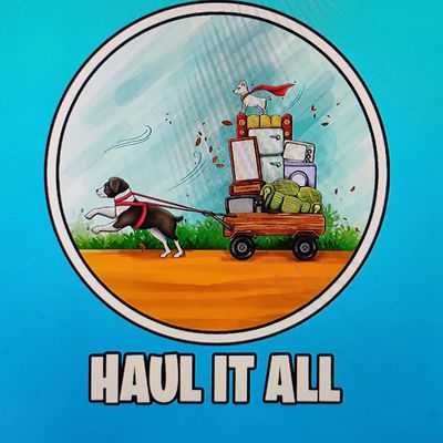 Avatar for Haul It All Junk Removal