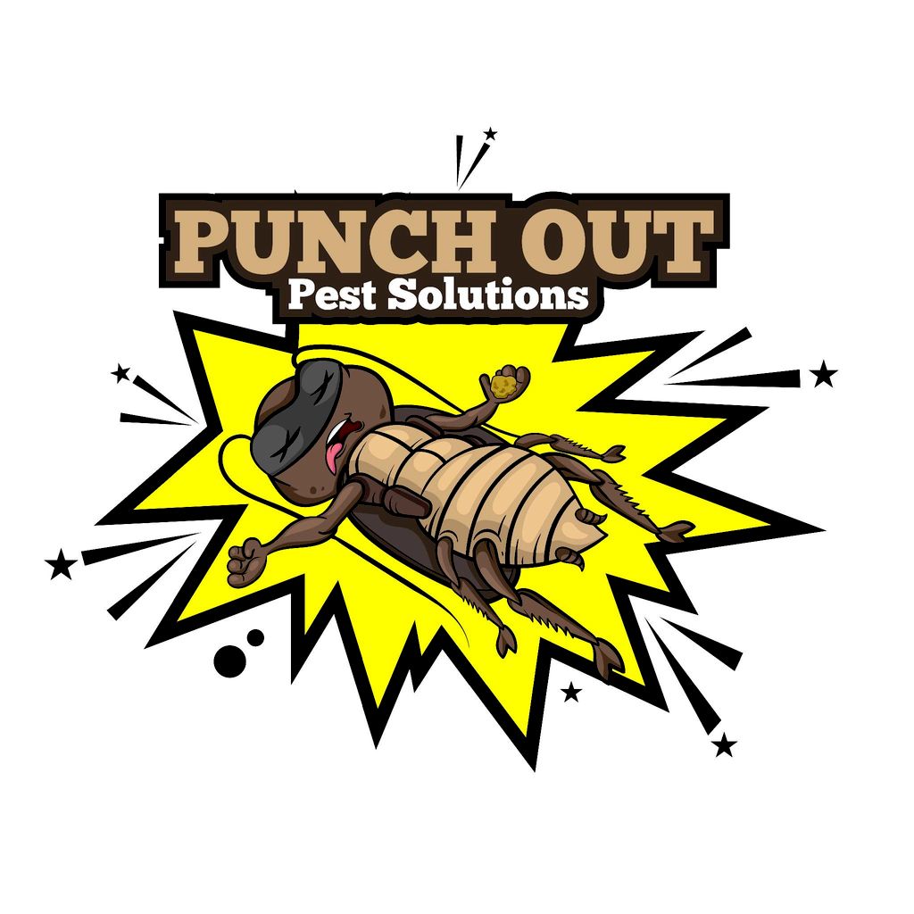 Punch Out Pest Solutions LLC