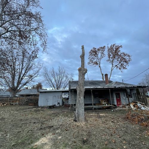 Tree Trimming and Removal