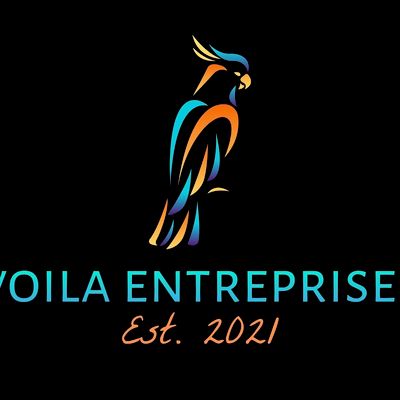 Avatar for Voila Enterprises