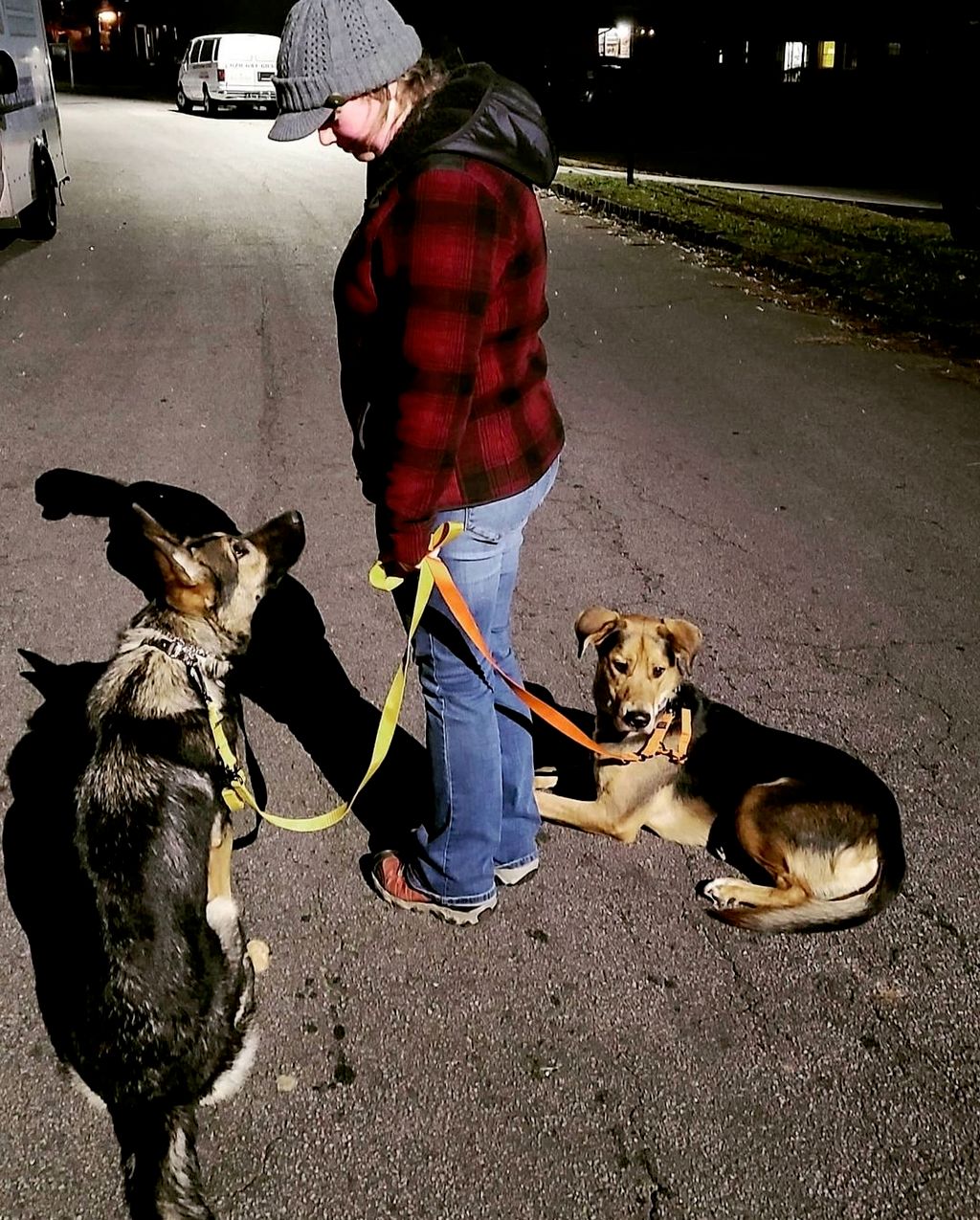 Dogs look to us for guidance because they know we'