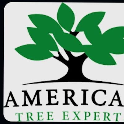 Avatar for American Tree Experts