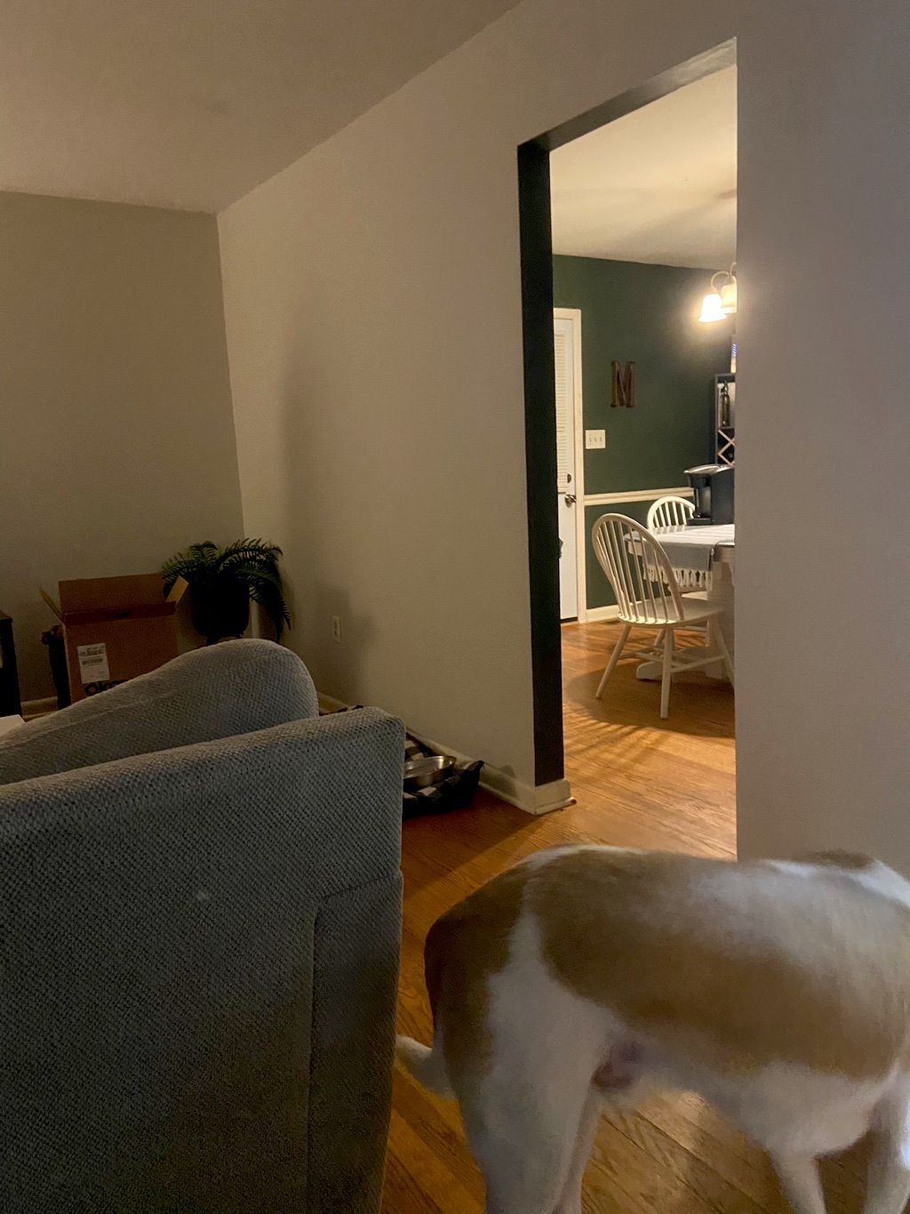 Customer photos