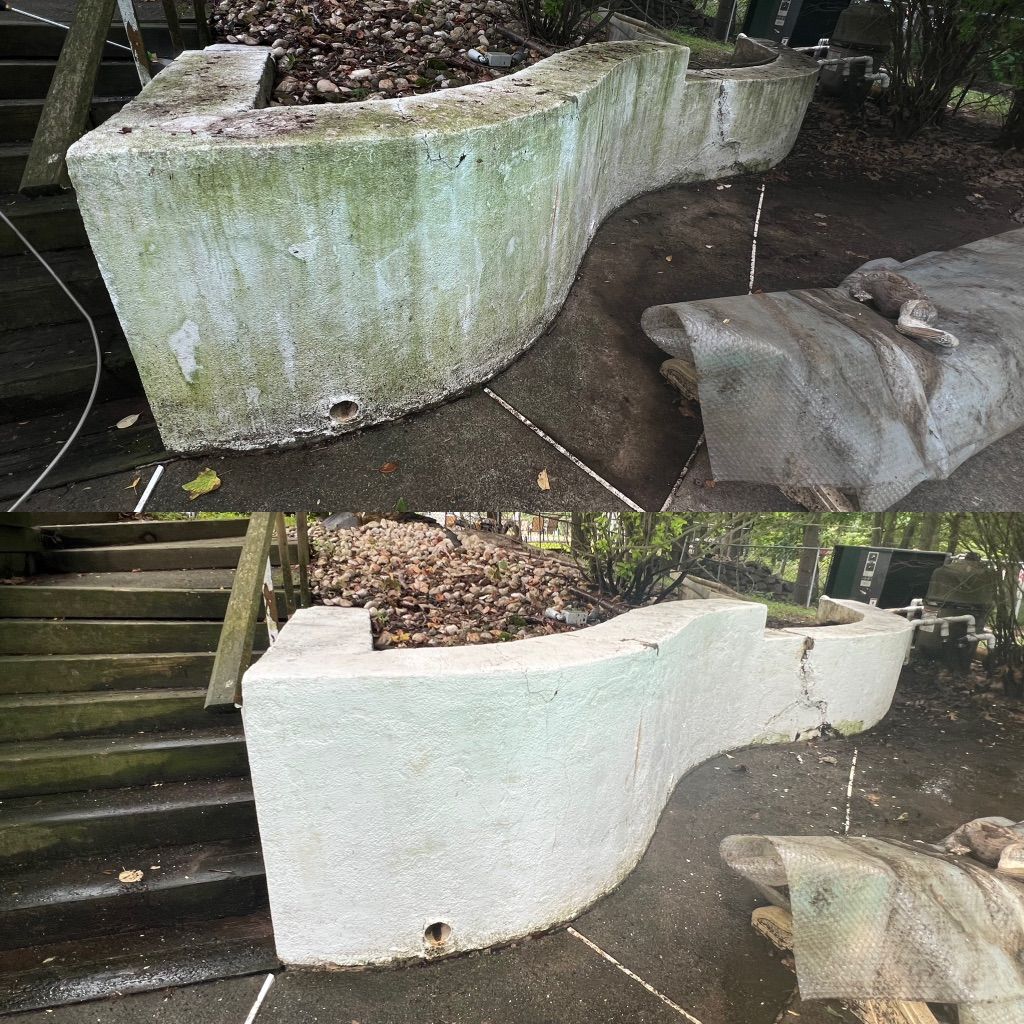 Pressure Wash