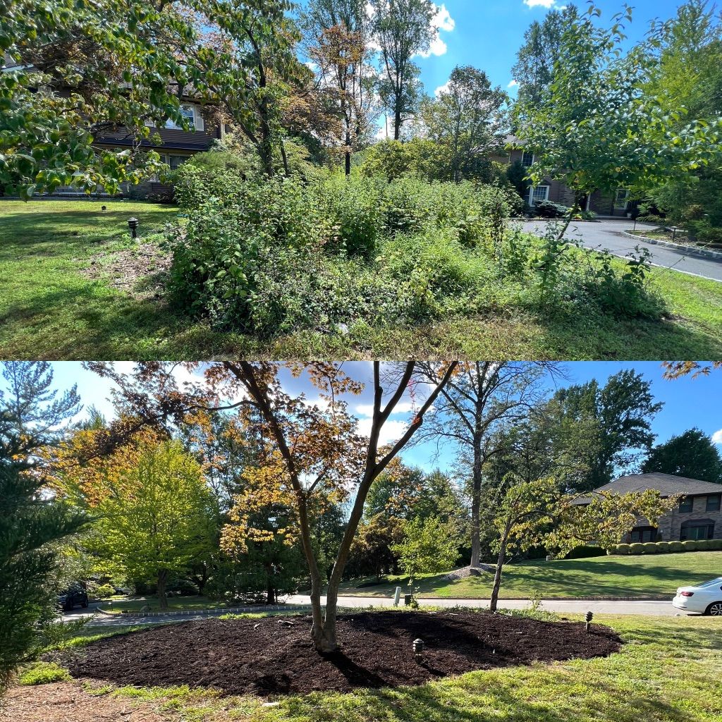 Weeding/mulch